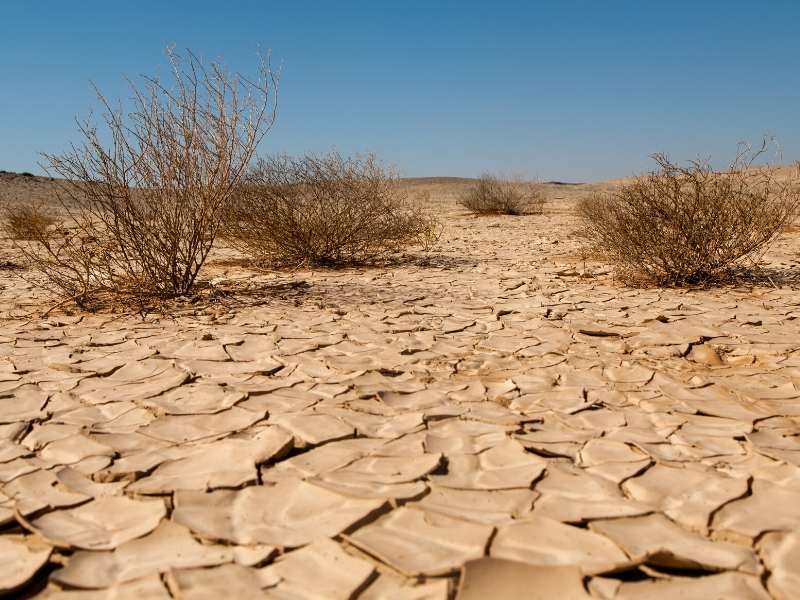 desertificacion.jpg